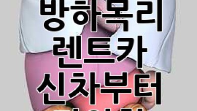 옥천 안내면 방하목리 렌트카: 신차부터 다양한 선택!